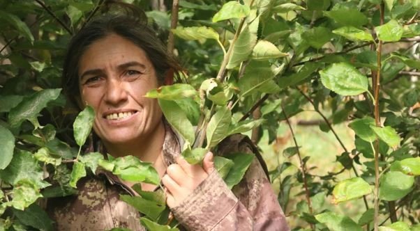 MİT, PKK/KCK Hakurk Toplumsal Alan sözde sorumlularından Tekoşin Cizre kod Arslan’ı etkisiz hale getirdi