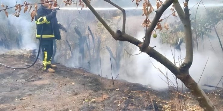 Çankırı’da çıkan arazi yangını kısa sürede söndürüldü