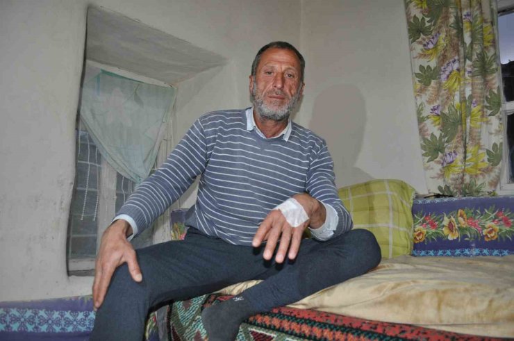 Ayı saldırısından şans eseri yaralı kurtuldu