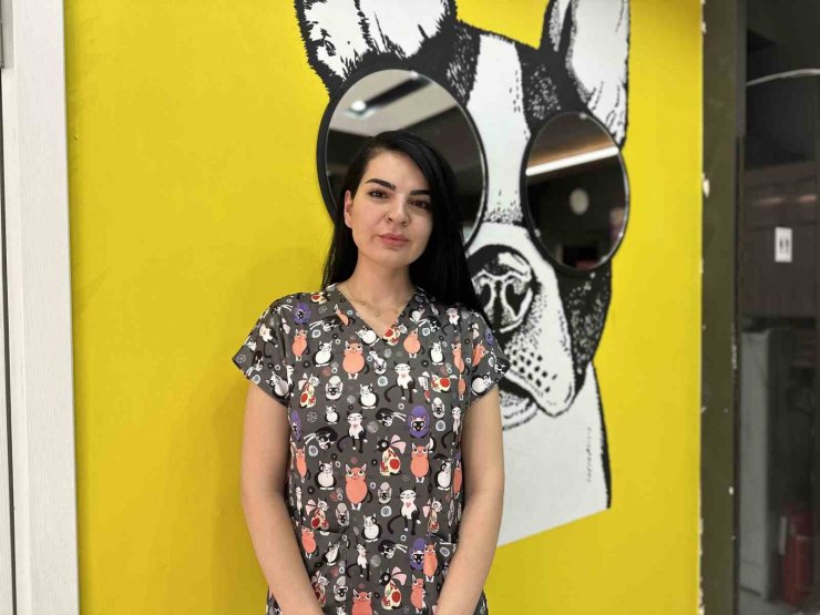 Hayvanlara yardım etmek isterken dikkat edin