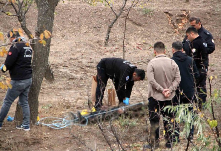 Köpek gezdiren vatandaşlar fark etti: Ağaca asılı halde bulundu