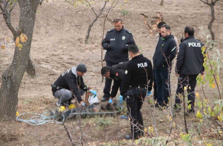 Köpek gezdiren vatandaşlar fark etti: Ağaca asılı halde bulundu