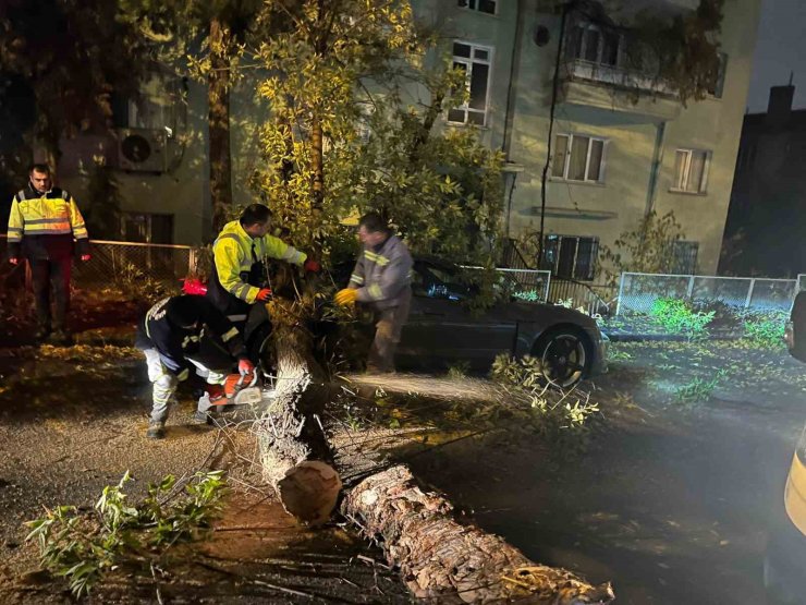 Ankara’da şiddetli rüzgarda kırılan ağaç dalı lüks otomobilin üzerine düştü