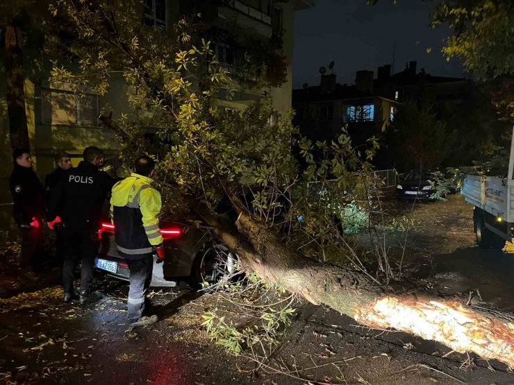 Ankara’da şiddetli rüzgarda kırılan ağaç dalı lüks otomobilin üzerine düştü