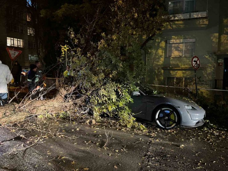 Ankara’da şiddetli rüzgarda kırılan ağaç dalı lüks otomobilin üzerine düştü