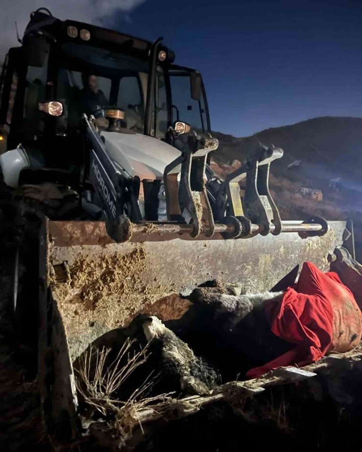 Kayalıklardan düşen yaralı eşeği AFAD ekipleri kurtardı