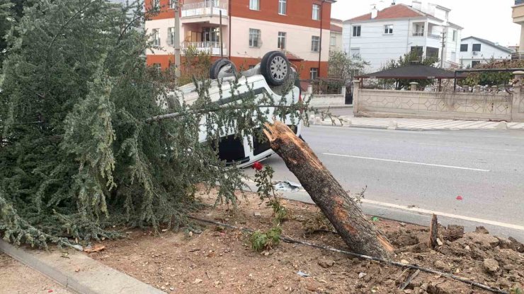 Kontrolden çıkan hafif ticari araç, refüjdeki ağacı kırarak devrildi: 1 yaralı