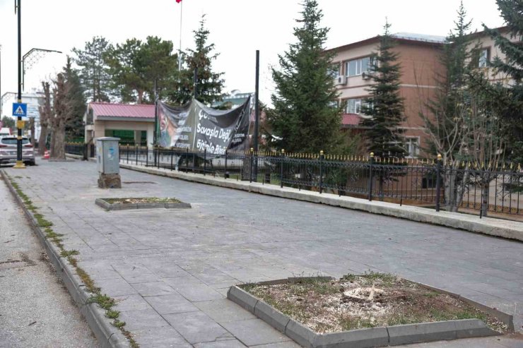 Belediyeden ağaç kesen müdürlük hakkında suç duyurusu