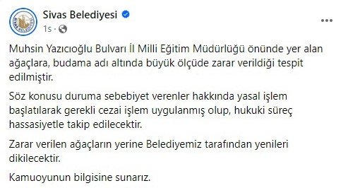 Belediyeden ağaç kesen müdürlük hakkında suç duyurusu