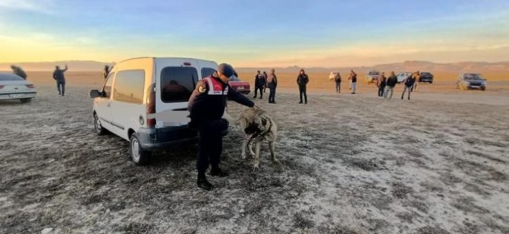 Köpek dövüştürerek bahis oynayanlara suçüstü