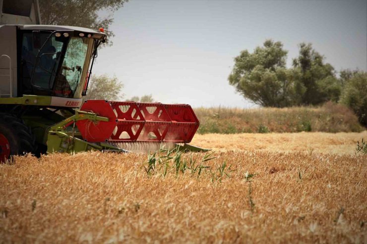 Tarım başkenti Konya, 13 üründe üretim miktarı olarak Türkiye’de ilk sırada