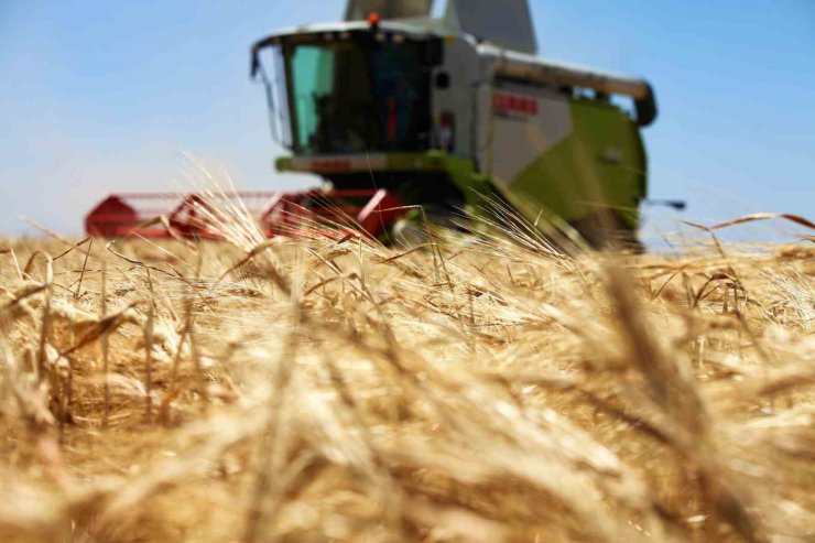 Tarım başkenti Konya, 13 üründe üretim miktarı olarak Türkiye’de ilk sırada