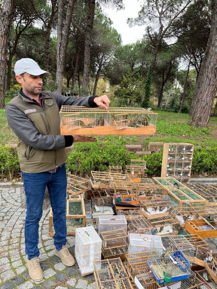 Yasa dışı yakalanarak ticareti yapılan 902 kuş doğaya bırakıldı