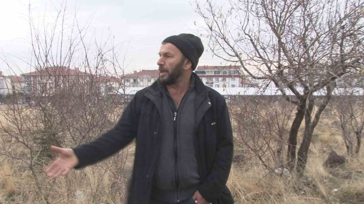 Başkent’te başıboş köpek dehşeti