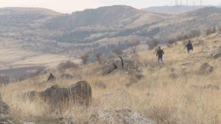 Başkent’te başıboş köpek dehşeti