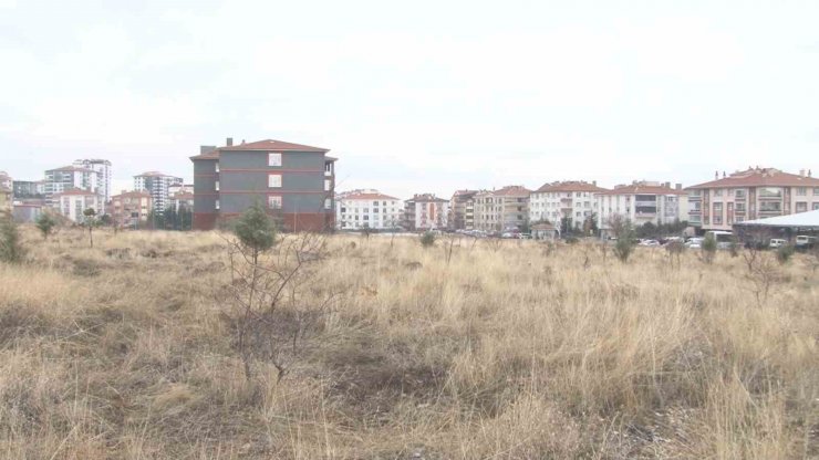 Başkent’te başıboş köpek dehşeti