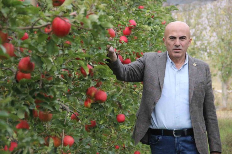 Elmanın büyükşehirlerde 4 katı fazla fiyata satılması üreticisini de rahatsız ediyor