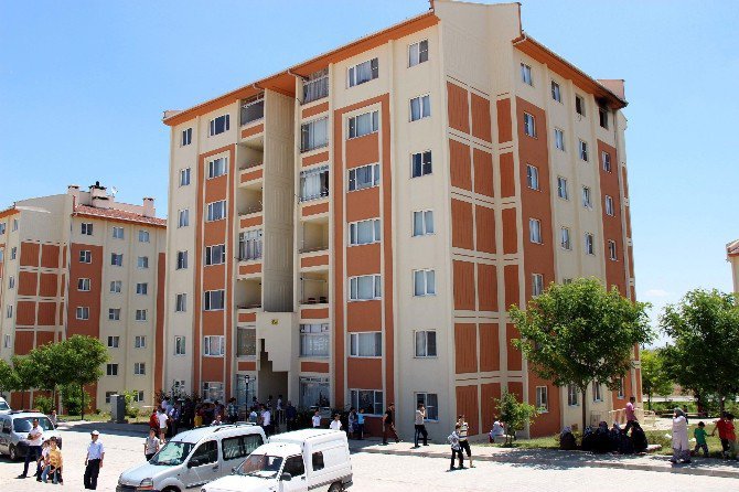4-009.jpg