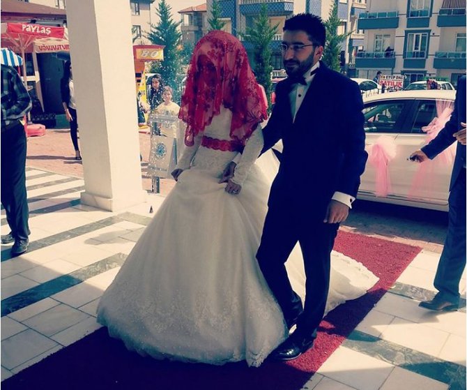 7697729.jpg