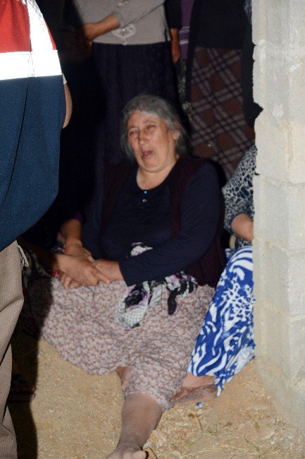 yaz-okulu-akirfanr.jpg